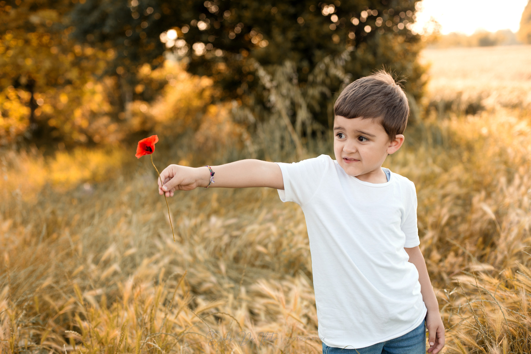 fotografo famiglia treviglio